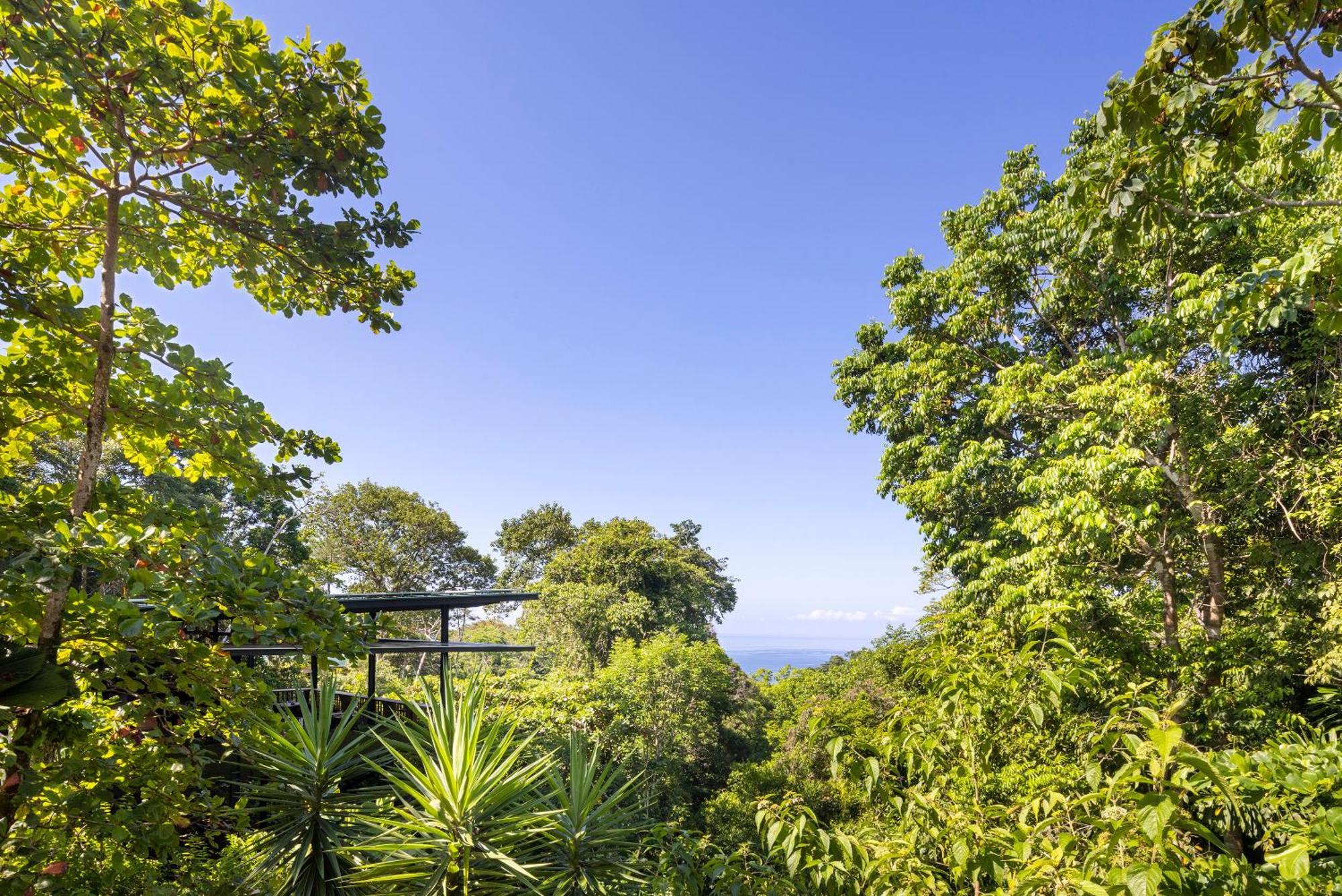 El Remanso Rainforest Lodge Puerto Jiménez 外观 照片