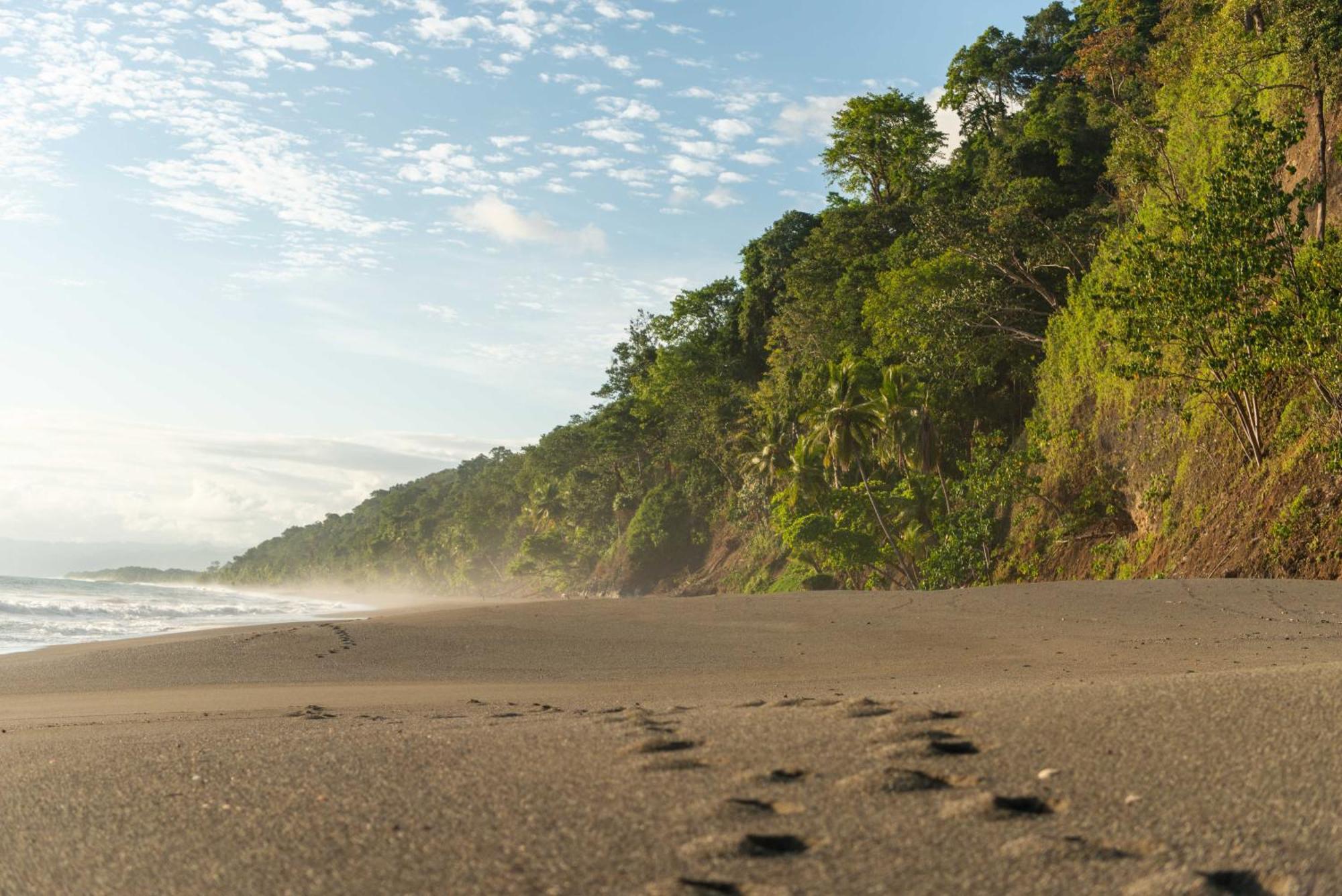 El Remanso Rainforest Lodge Puerto Jiménez 外观 照片