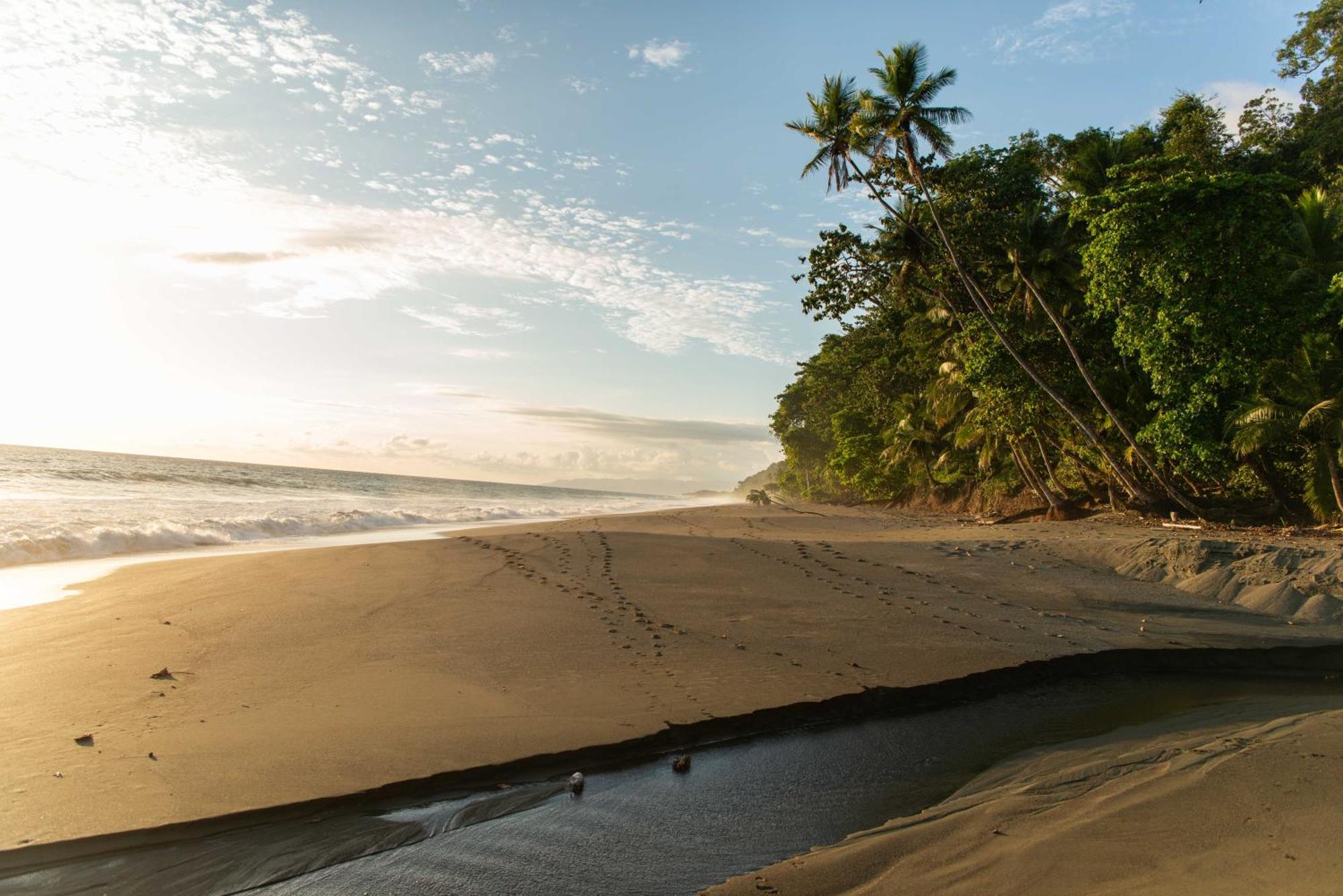 El Remanso Rainforest Lodge Puerto Jiménez 外观 照片