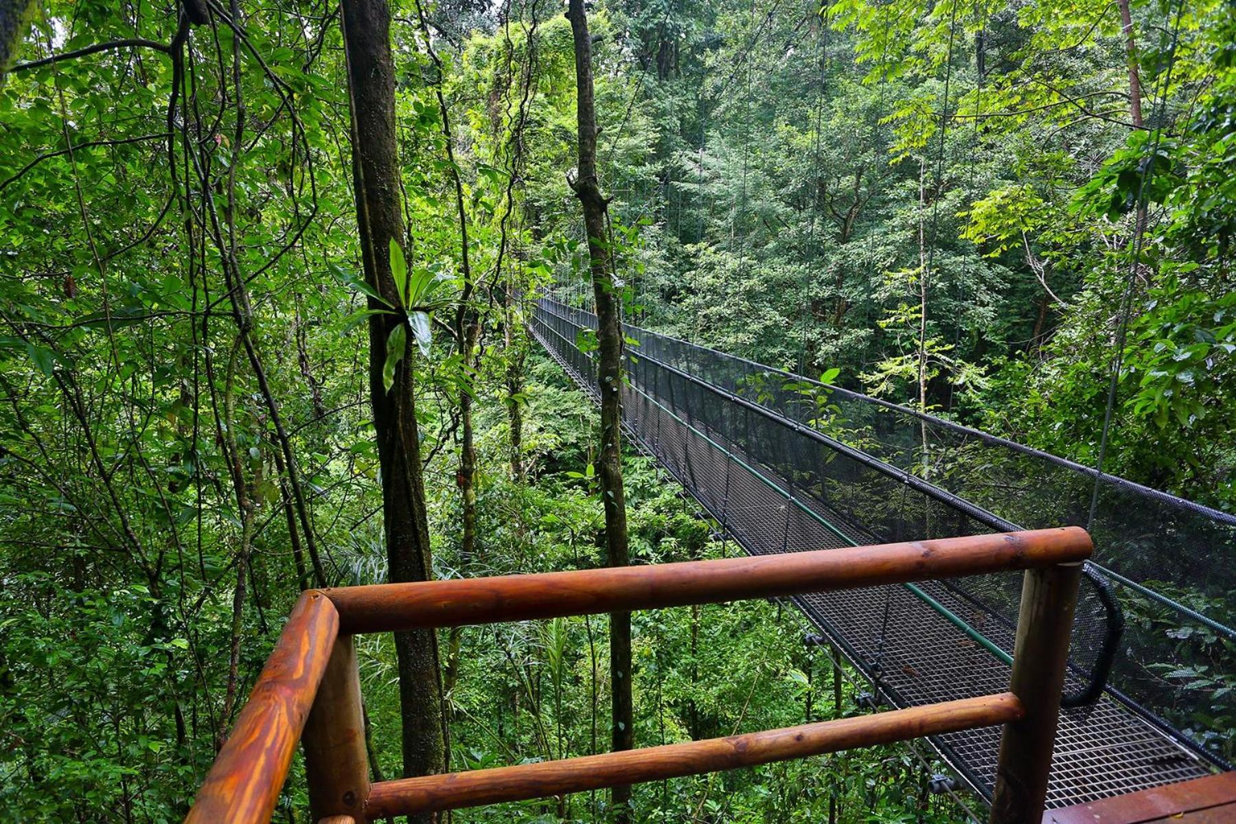 El Remanso Rainforest Lodge Puerto Jiménez 外观 照片