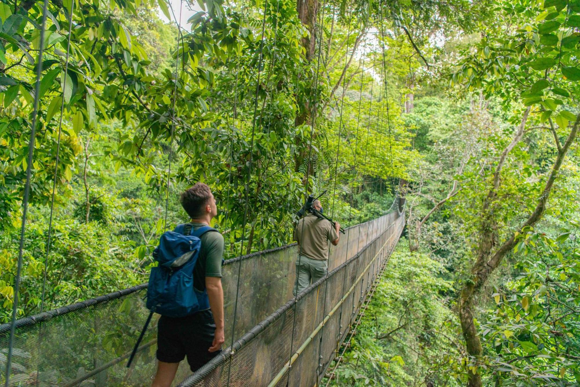 El Remanso Rainforest Lodge Puerto Jiménez 外观 照片