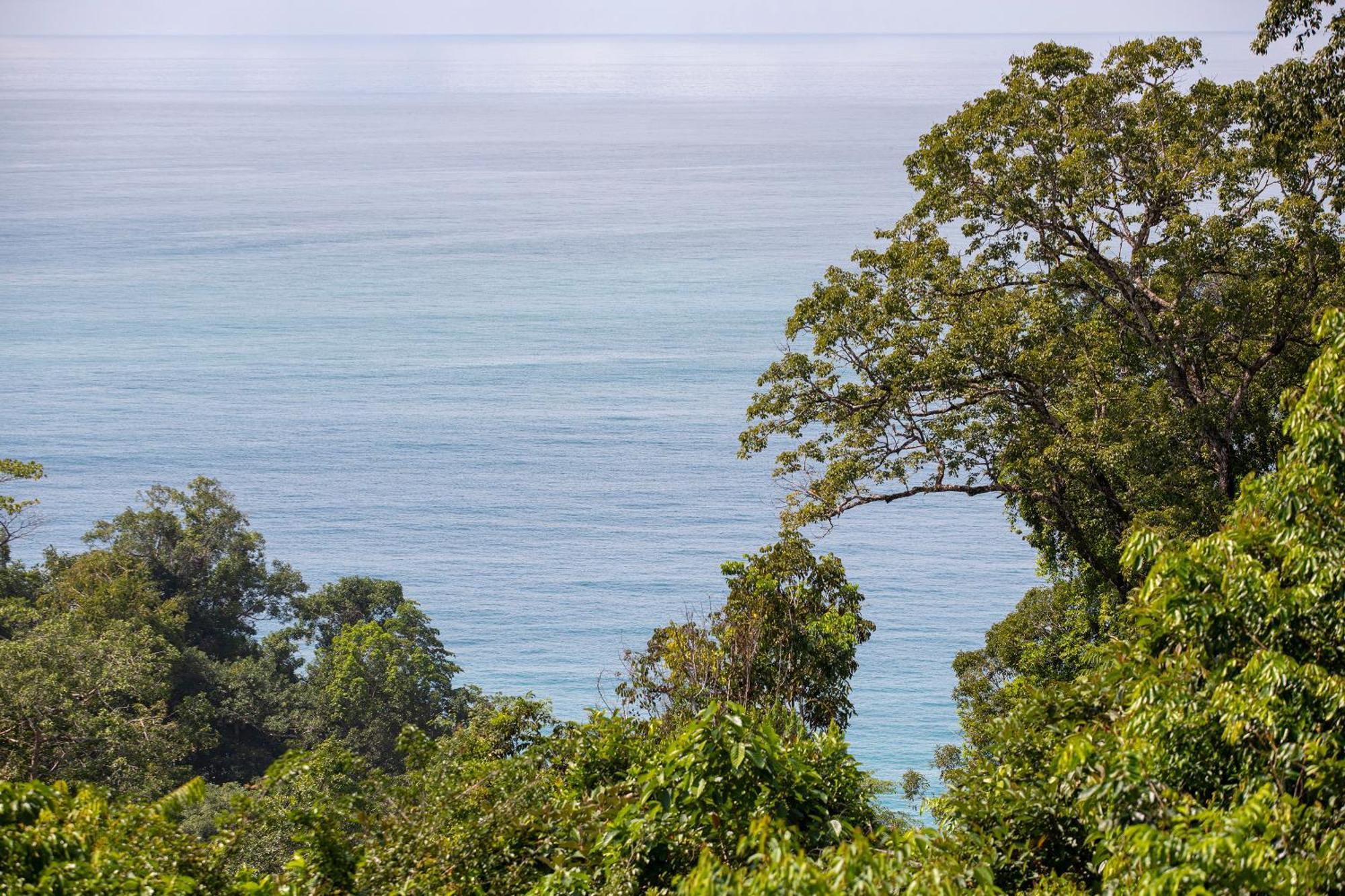 El Remanso Rainforest Lodge Puerto Jiménez 外观 照片